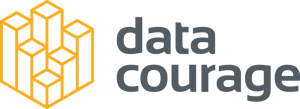 Data Courage-logo- light backgroung-Jun-30-2022-09-07-33-76-AM